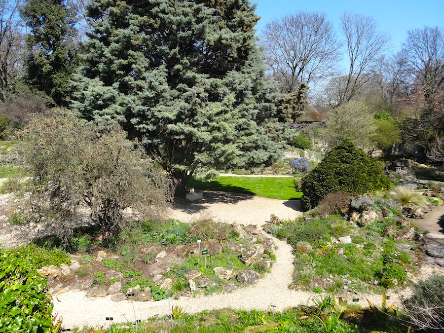 photo jardin alpin jardin des plantes