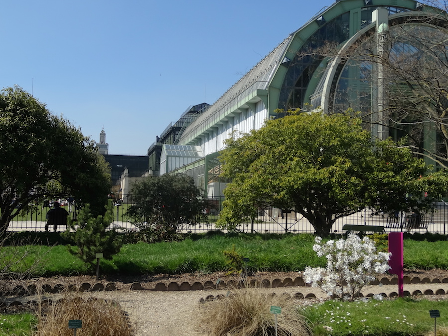 serres jardin des plantes