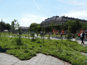 pépinière jardin éphémère hôtel de ville de paris