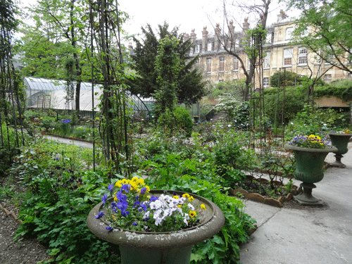 jardin-botanique-faculté-de-pharmacie-de-paris