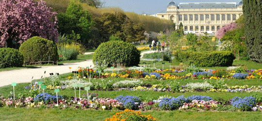 Botanical Gardens In Paris Un Jour De Plus A Paris