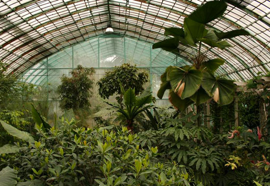 jardins botaniques paris