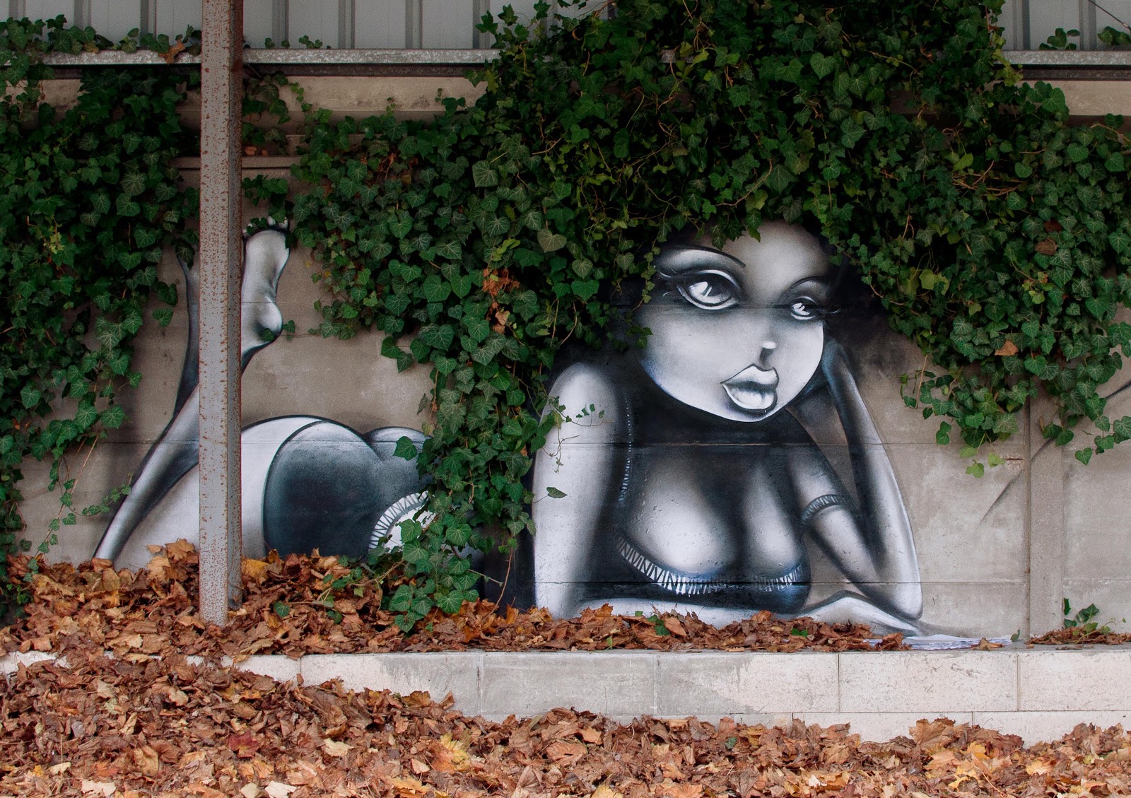 vinie street art paris