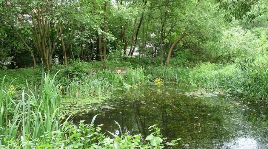 Jardin naturel Pierre Emmanuel Un jour de plus Paris Jardin naturel Pierre Emmanuel Un jour de plus Paris